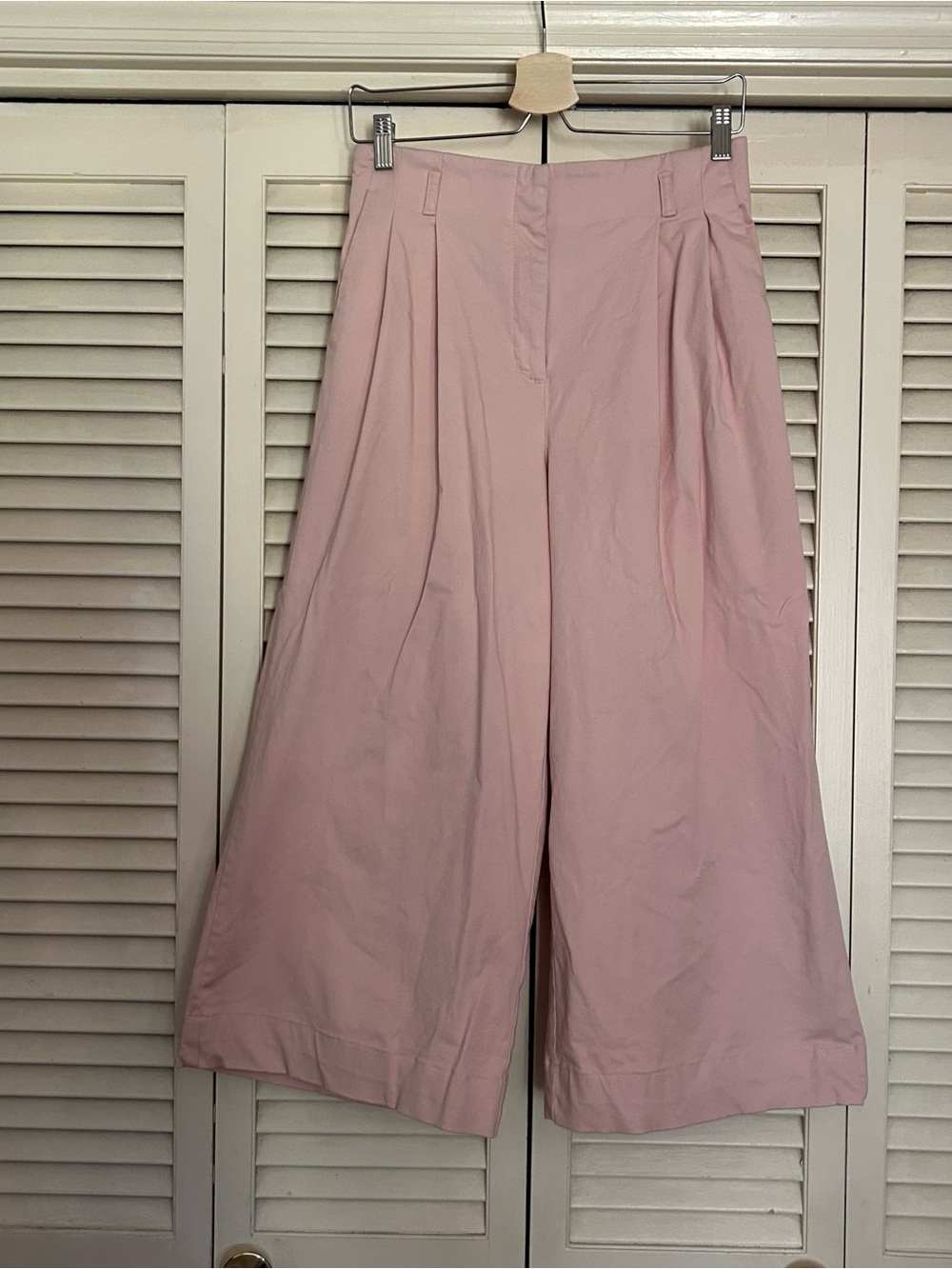 Ann Taylor Pink High Rise Pleated Wide Leg Culotte Pants Size 4